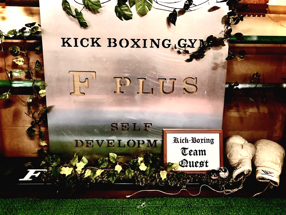 fitness kickboxing fplus 