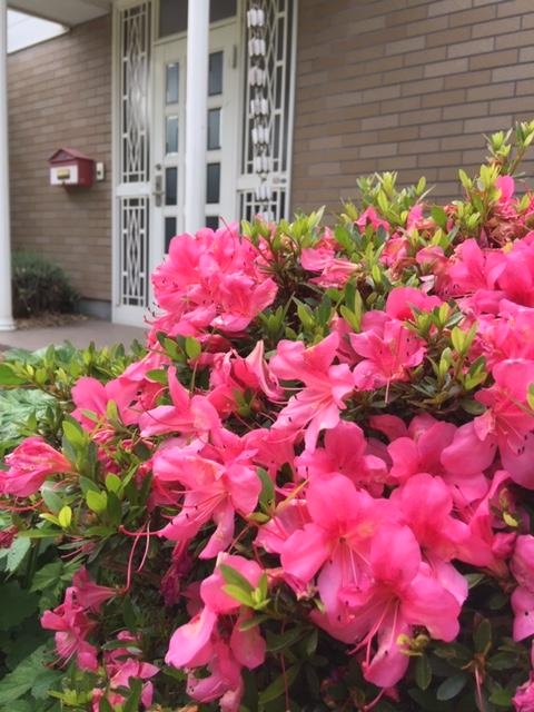 エール音楽館　 Voice＆Music_1