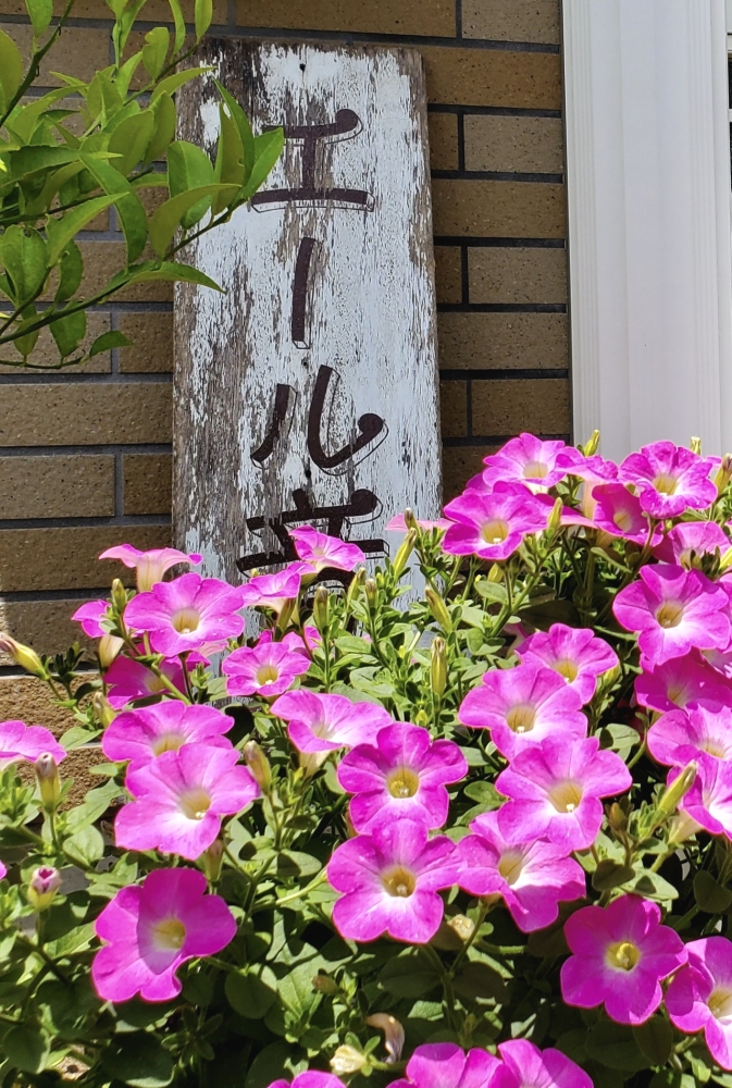 エール音楽館　 Voice＆Music