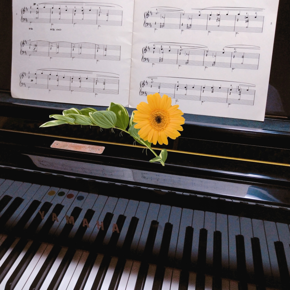 ピアノレッスン教室「MOMO」