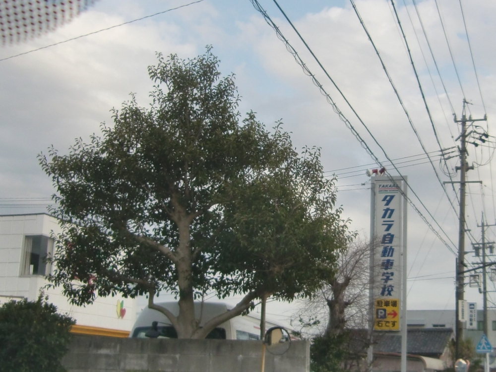 タカラ自動車学校