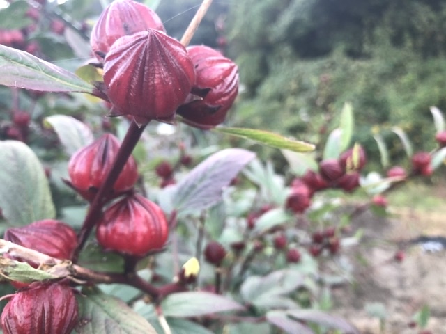 屋根のないラブネィチャーフィットネスジム長久手御嶽山教室_1