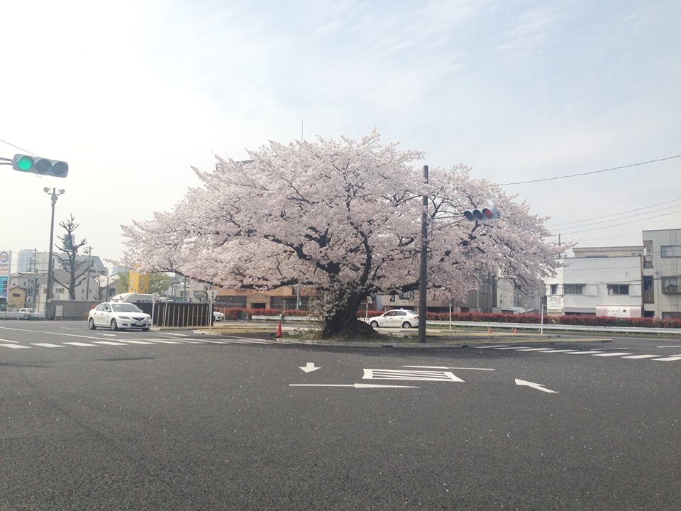 株式会社城北自動車学校_0