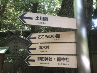 屋根のないラブネィチャーフィットネスジム熱田神宮の森教室_4