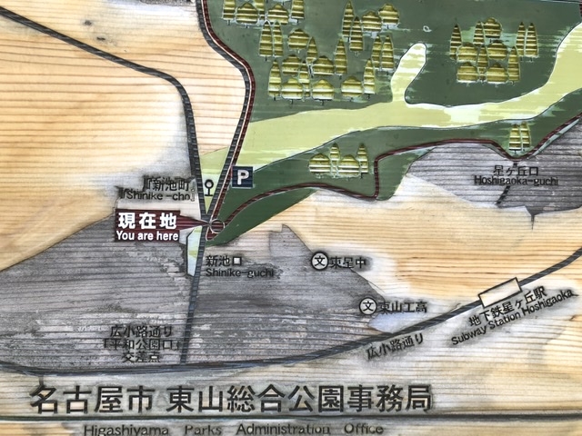 屋根のないラブネィチャーフィットネスジム名古屋平和公園教室_3