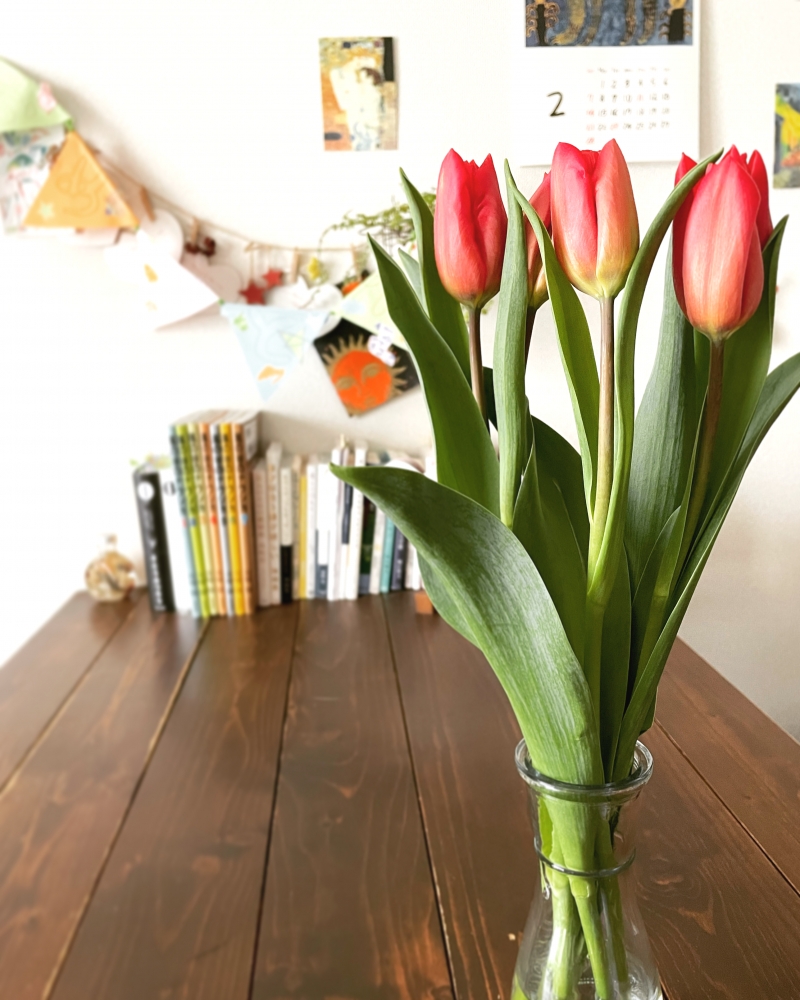 アトリエ MACOYA_5