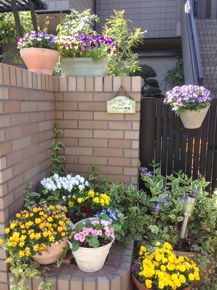 フルールピアノ教室_1