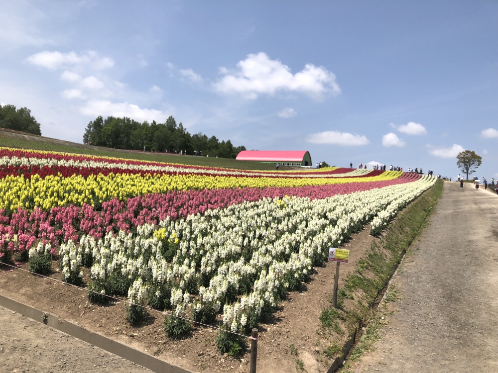 日本自然学校_4