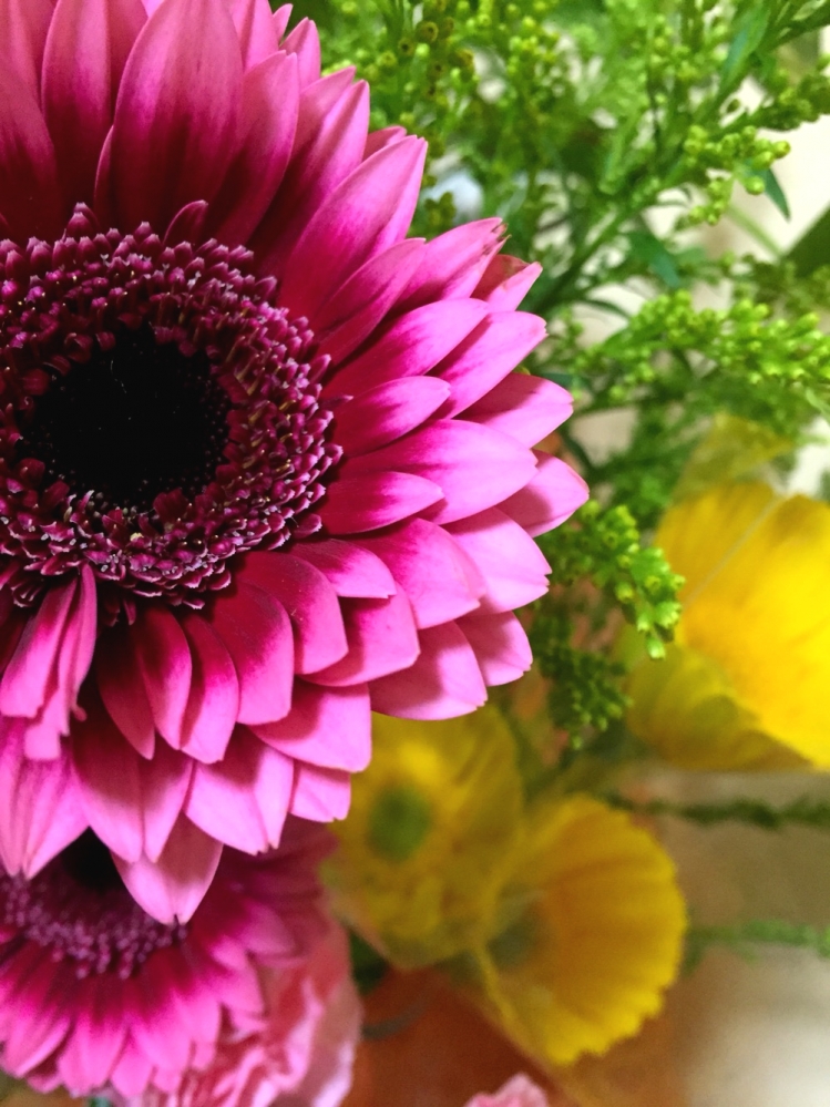 東みさをフラメンコスタジオシバシ（ＣＩＢＡＹＩ）_2