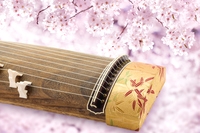 樽本会お箏教室_1