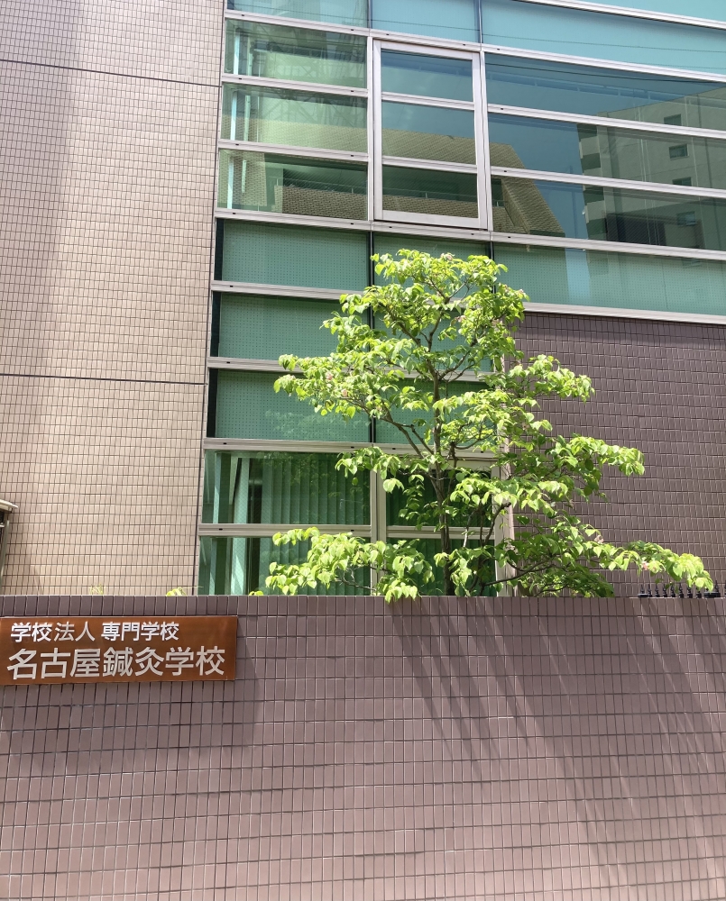 名古屋鍼灸学校