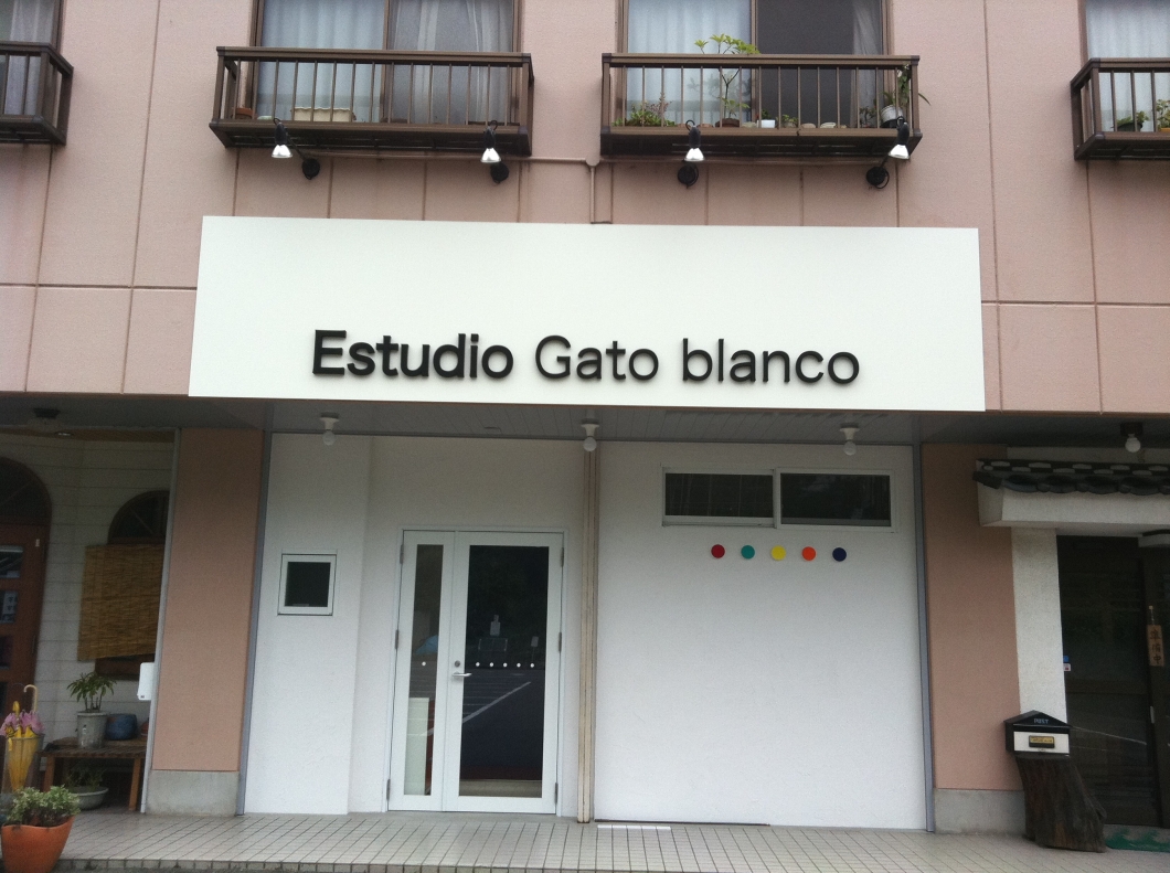 Estudio Gato blanco_2