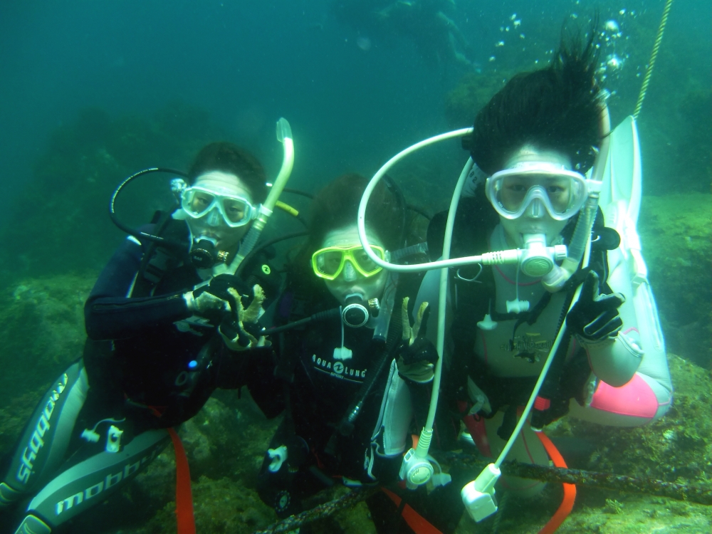 ファンキーダイビングワールドポパイズハウス_6