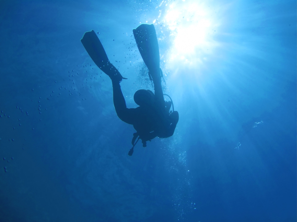 ファンキーダイビングワールドポパイズハウス_11