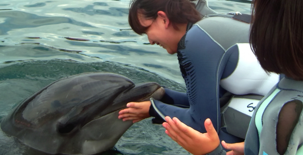 ファンキーダイビングワールドポパイズハウス_26