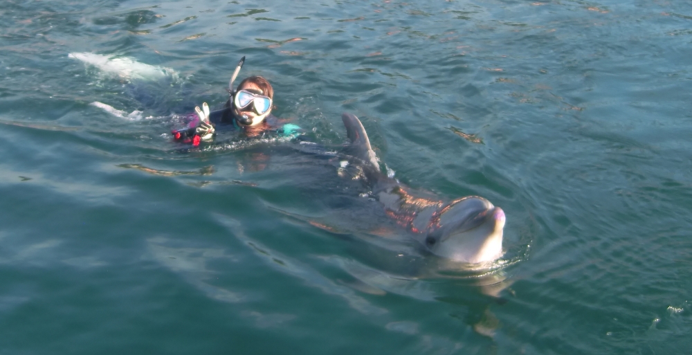 ファンキーダイビングワールドポパイズハウス_23