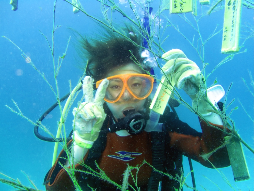 ファンキーダイビングワールドポパイズハウス_13