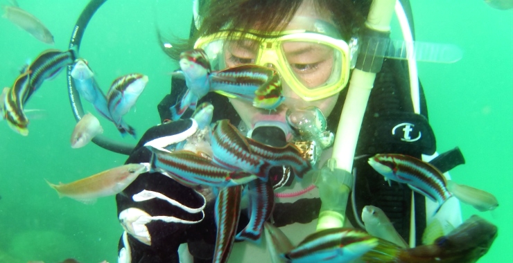 ファンキーダイビングワールドポパイズハウス_3