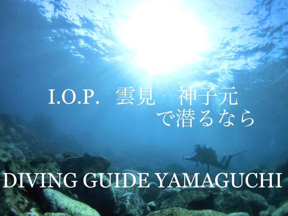 DIVING GUIDE YAMAGUCHI