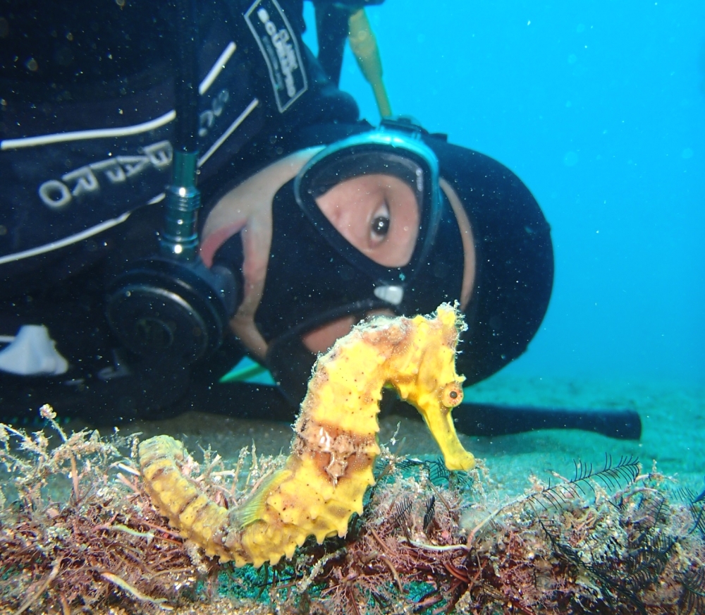 DIVING GUIDE YAMAGUCHI_1