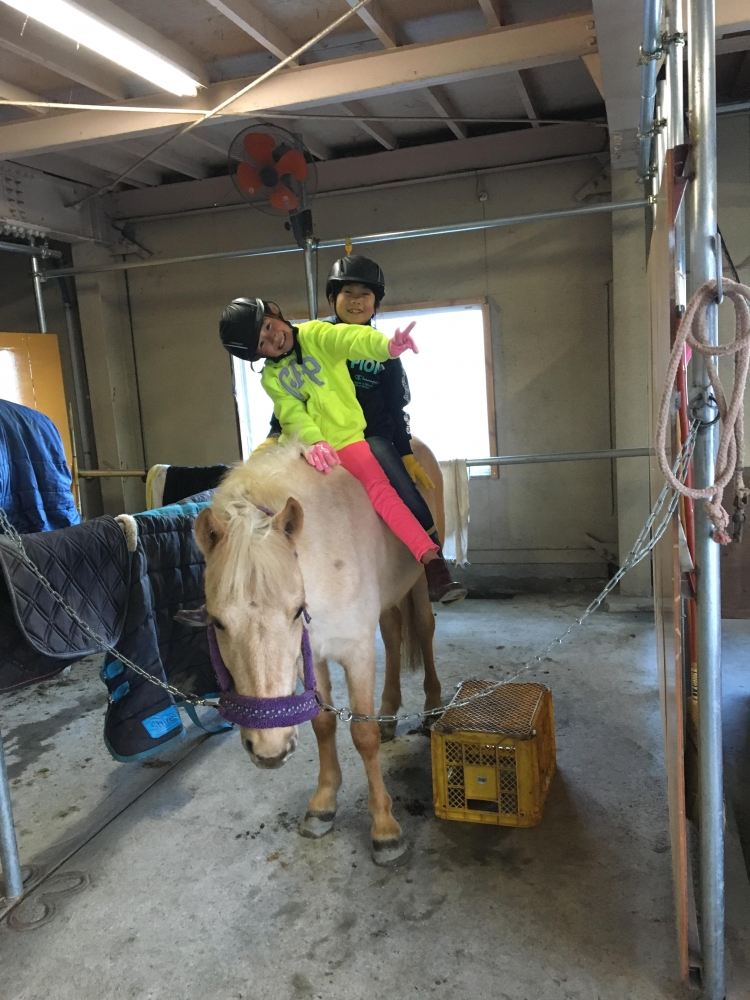 乗馬クラブ　ファナウステーブル_8