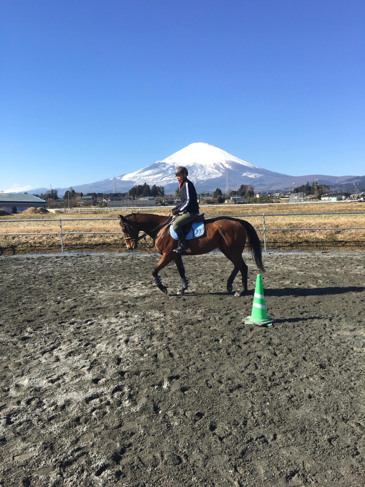 乗馬クラブ　ファナウステーブル_6