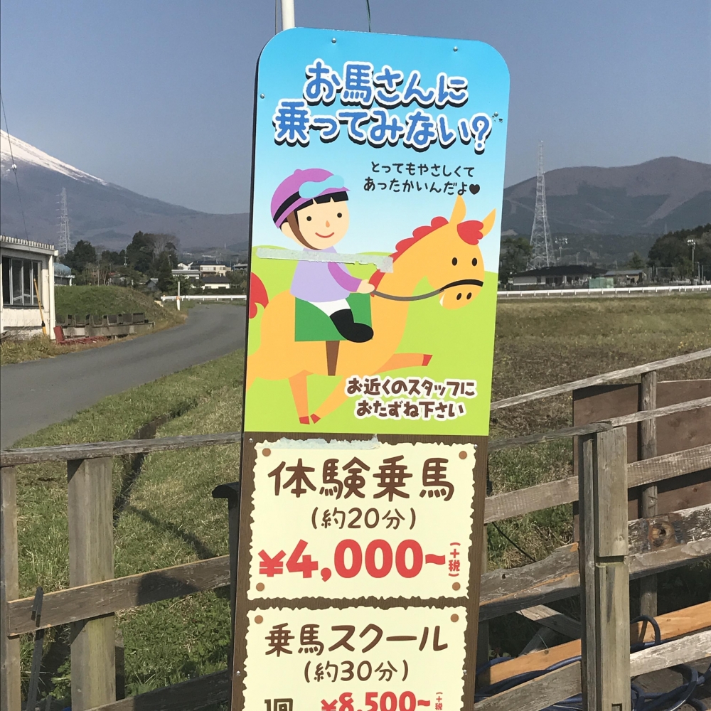 乗馬クラブ　ファナウステーブル_9