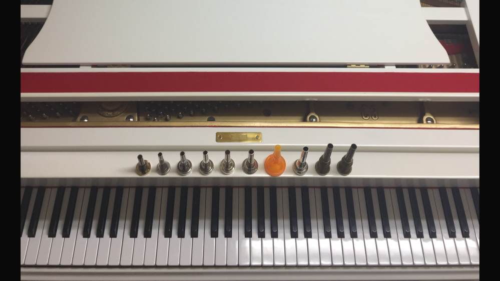 駿府の森ブラス_3