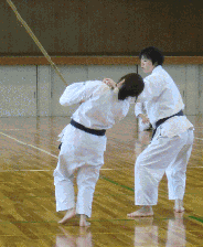 大阪合気修練道場