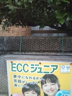 ＥＣＣジュニア古野町教室