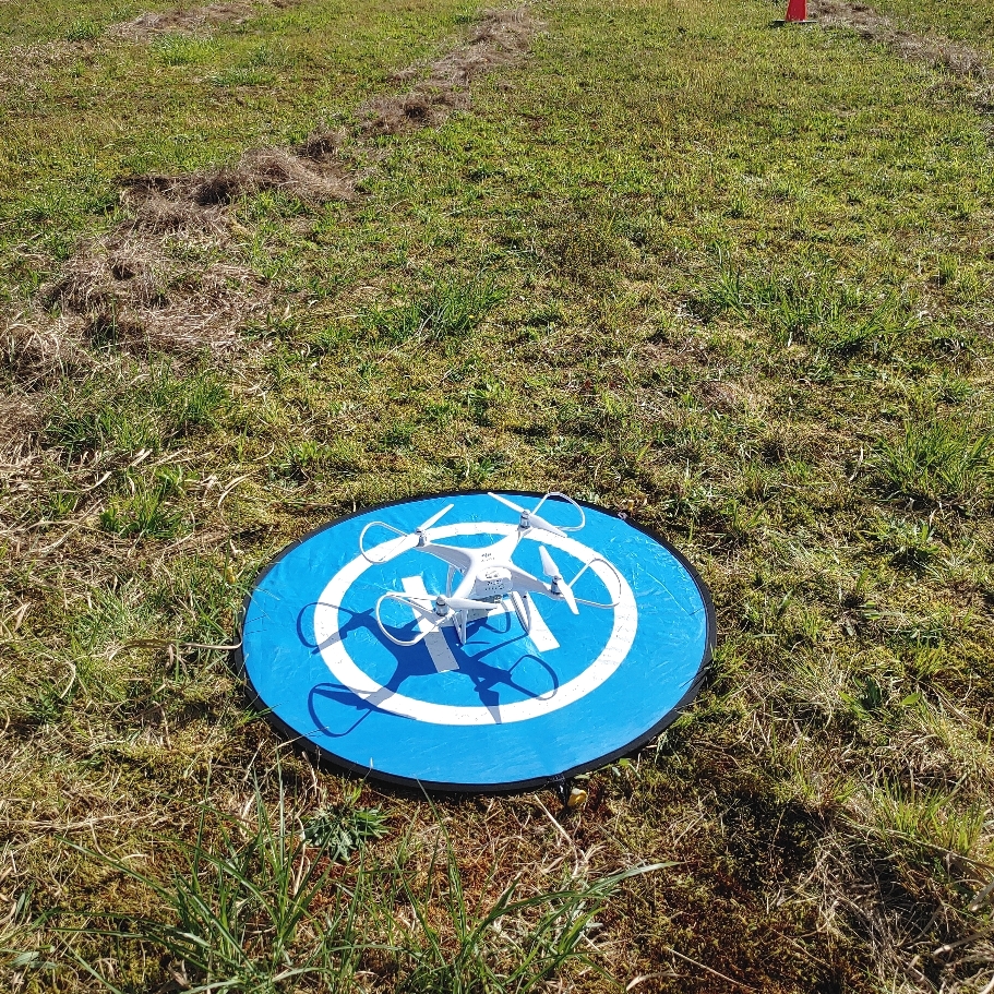 株式会社大阪グリーンサポート