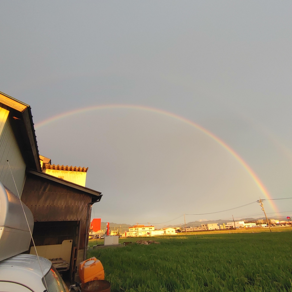 株式会社大阪グリーンサポート_2