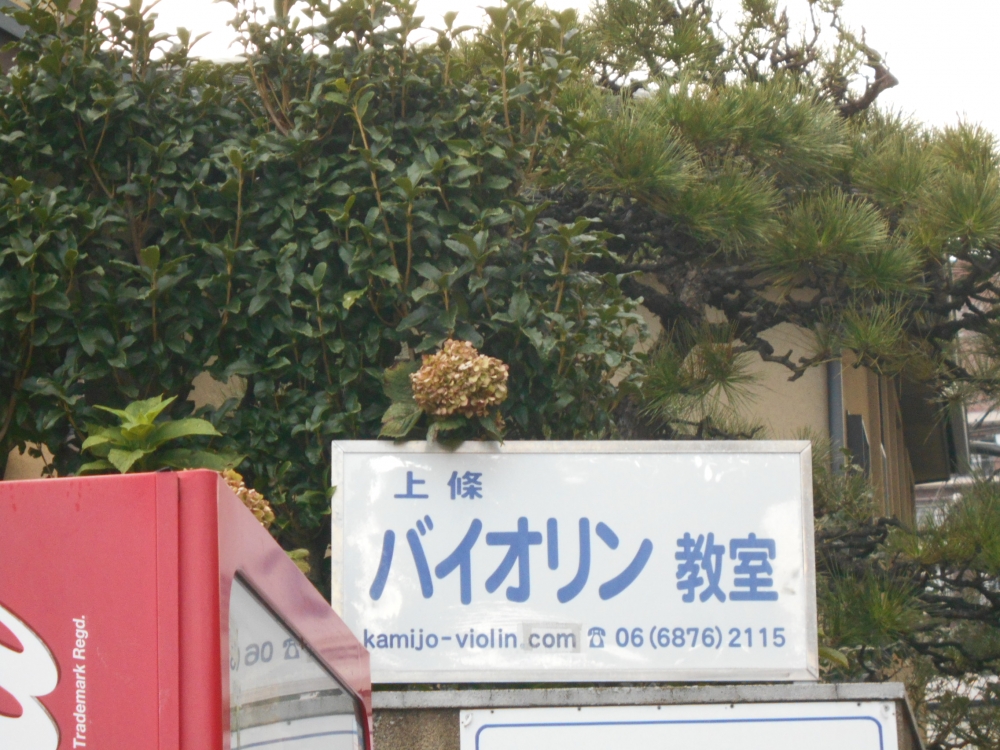 上條尚人バイオリン教室_1
