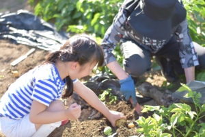 シェア畑　吹田岸辺