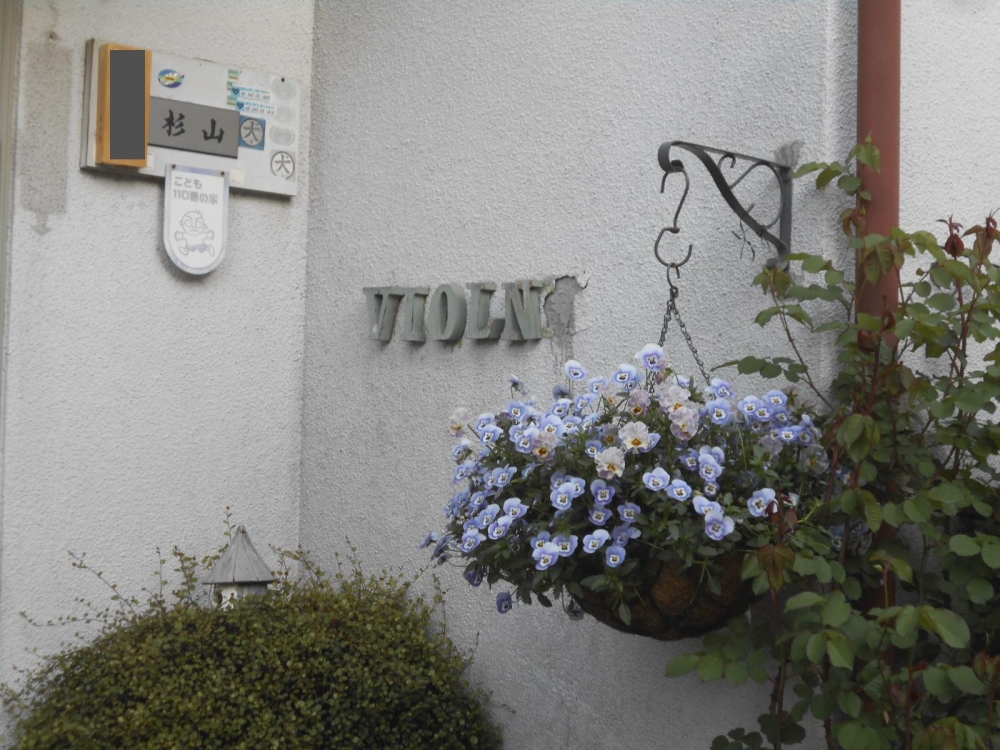 スズキメソード　杉山ヴァイオリン教室_1