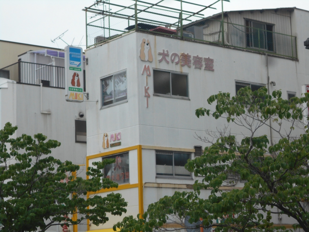 ミキグルーミングスクール