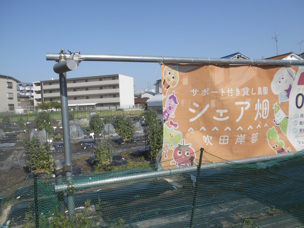 シェア畑 吹田岸部_1