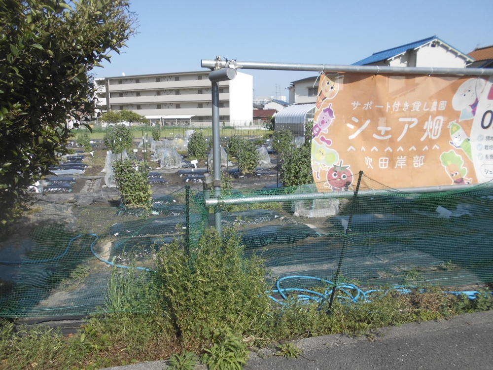 シェア畑 吹田岸部