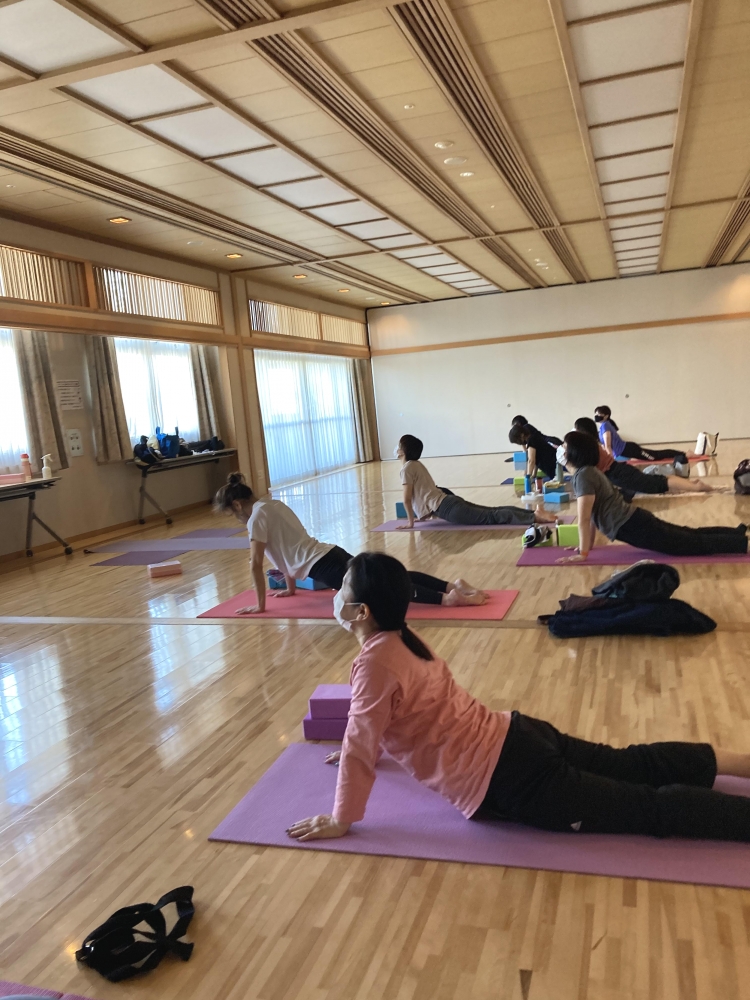 yoga salon samya