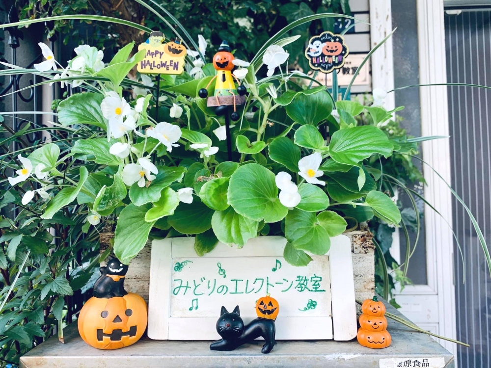 みどりのエレクトーン教室_1