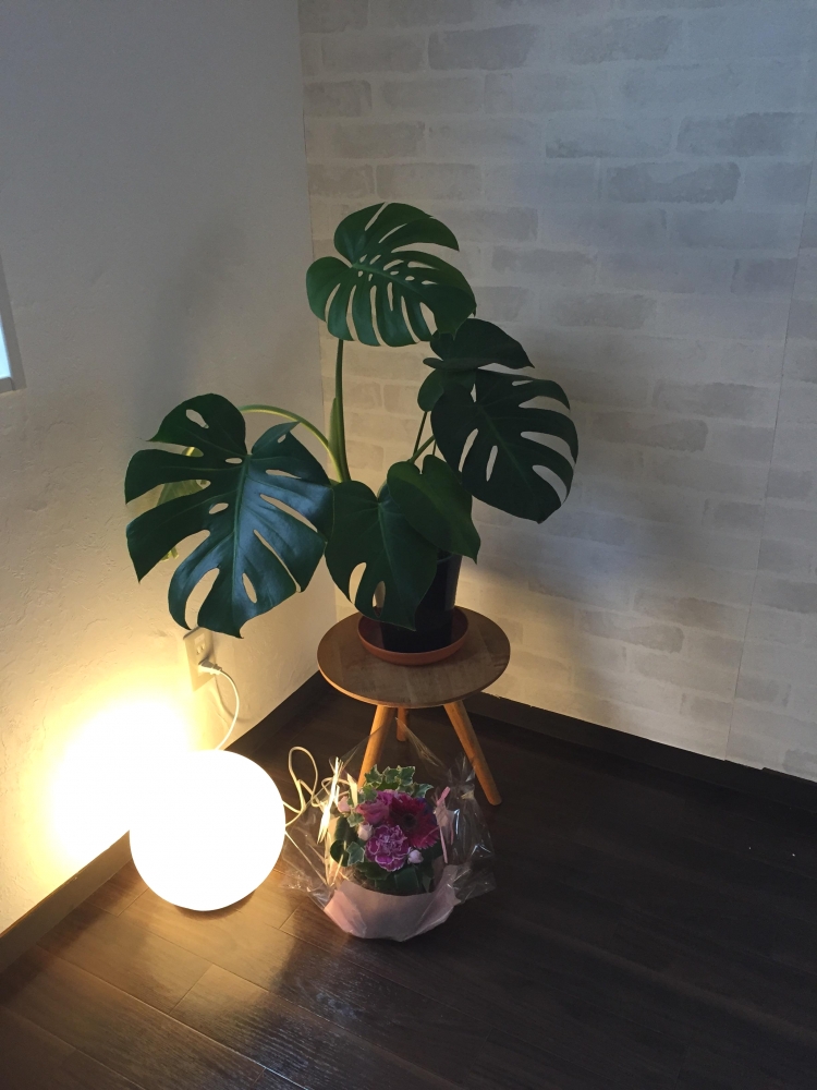 サンダラ　リラックス　ヨガ_1