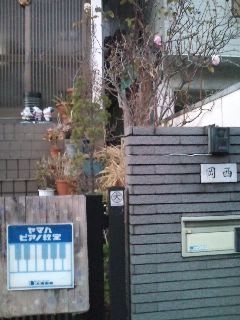 おかにしピアノ教室