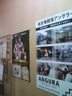 総合格闘技アングラー