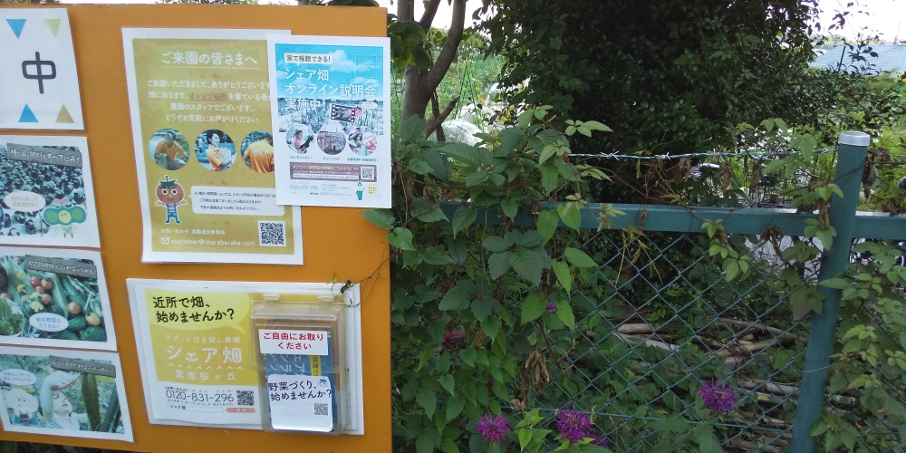 シェア畑 箕面桜ヶ丘_2
