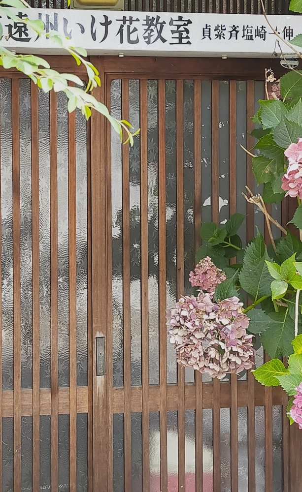 塩崎一伸華道教室