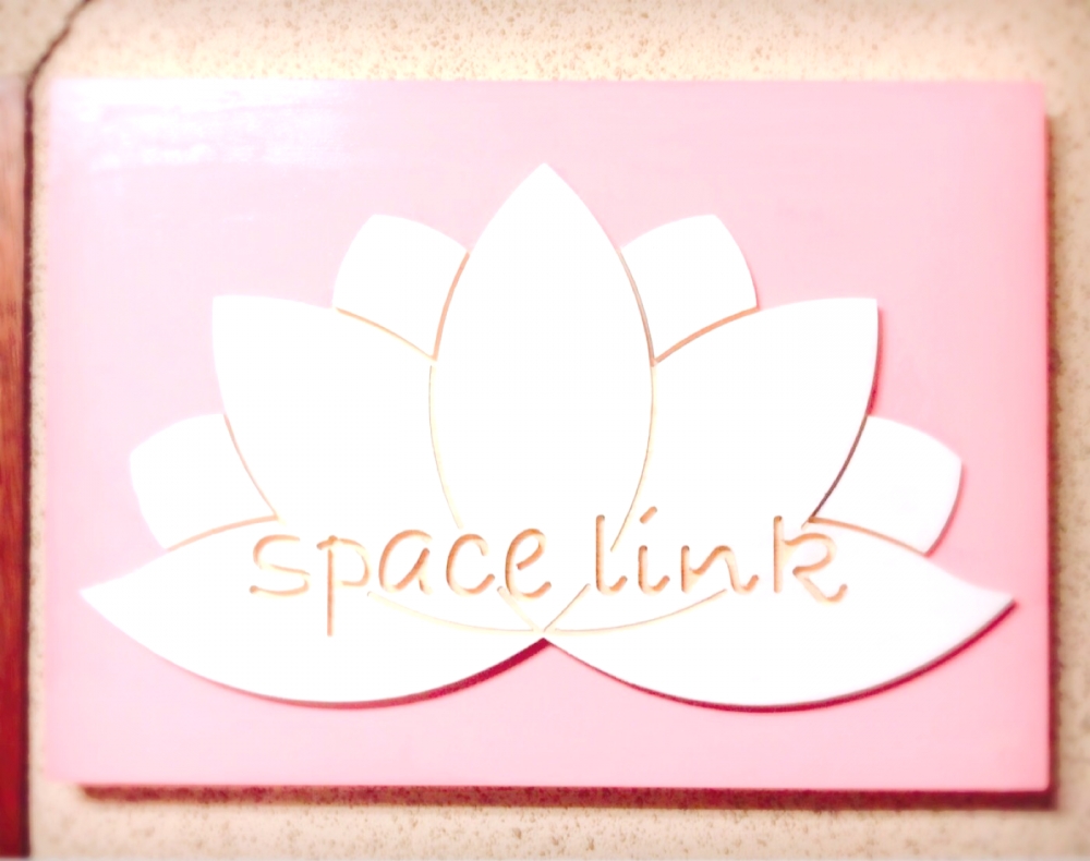 space link _14