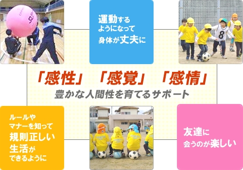 NPO法人 明石アクティヴスポーツ