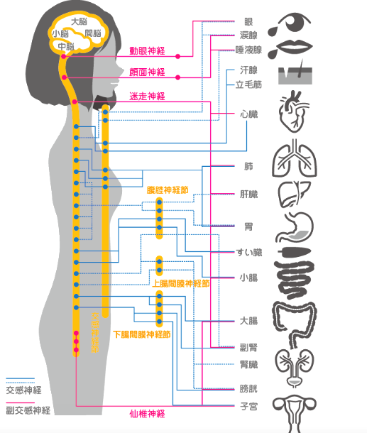 Medi-PRANA芦屋サロン_11