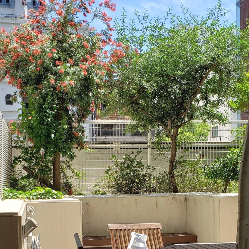 まさ木韓国語教室 神戸_1