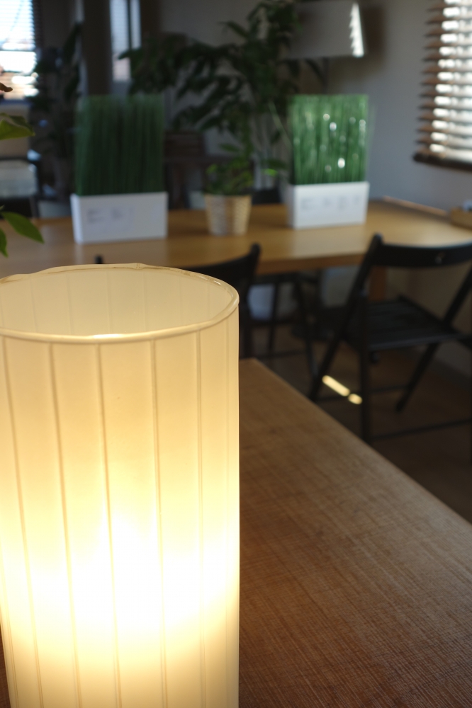 mixed　イングリッシュ・トレーニング・プログラム_2